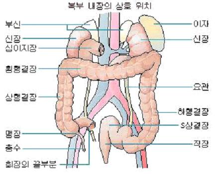 육장인 이미지